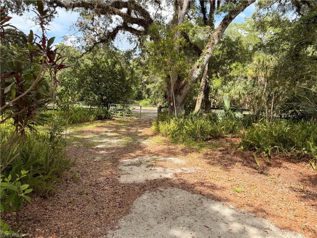 18251 Persimmon Ridge RD, ALVA, FL 33920 — photo 4