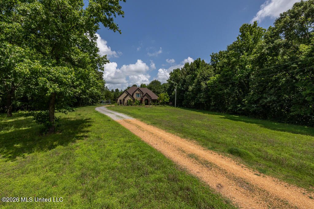 772 Hagen Road, Coldwater, MS 38618 — photo 2