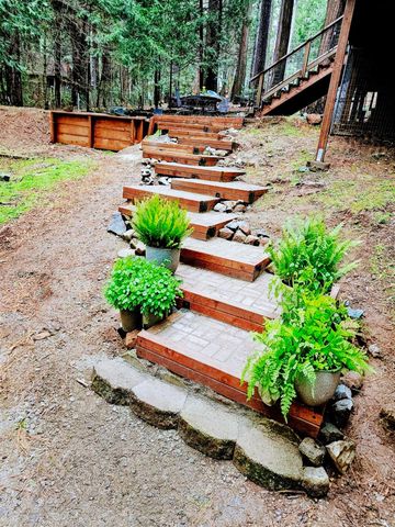 6169 Kokanee Ln, Pollock Pines, CA 95726