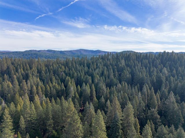 6169 Kokanee Ln, Pollock Pines, CA 95726