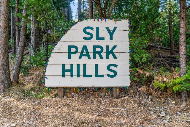 6169 Kokanee Ln, Pollock Pines, CA 95726