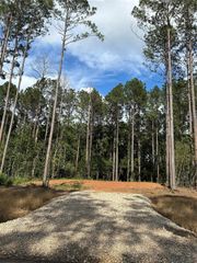 11356 Annie Creek Drive, Willis, TX 77378