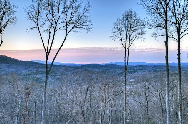 415 Green Ridge Trail, Blue Ridge, GA 30513