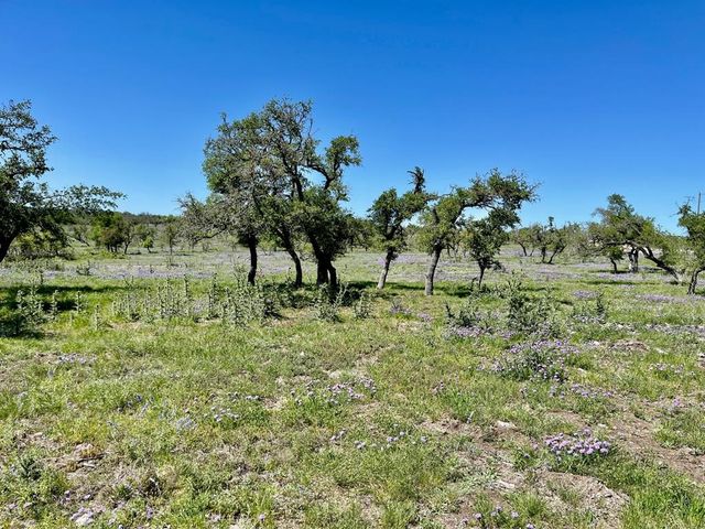 Lot 5 Jung Rd, Harper, TX 78631