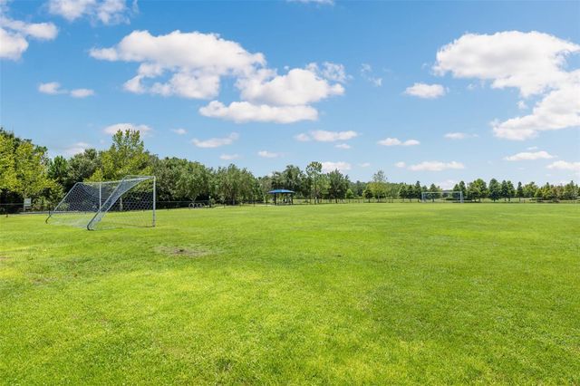 17974 RAMBLE ON WAY, Land O Lakes, FL 34638