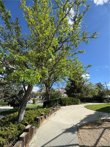 191 South Booker, Tonopah, NV 89049