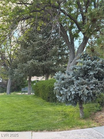 191 South Booker, Tonopah, NV 89049