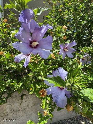 191 South Booker, Tonopah, NV 89049