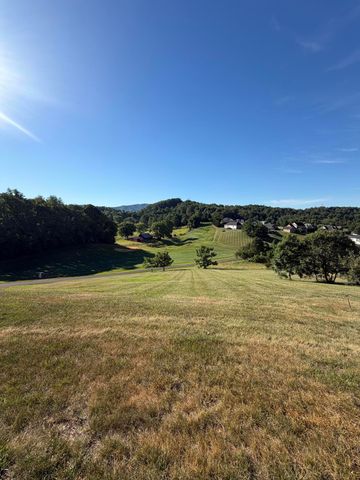 466 Summit Ridge RD, Daleville, VA 24083