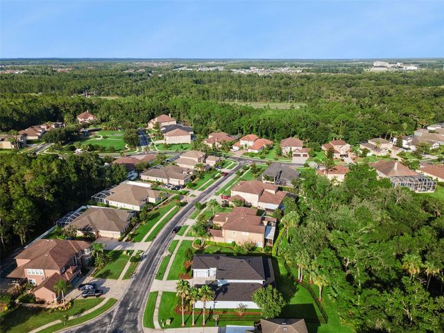27722 INDIGO POND COURT, Wesley Chapel, FL 33544