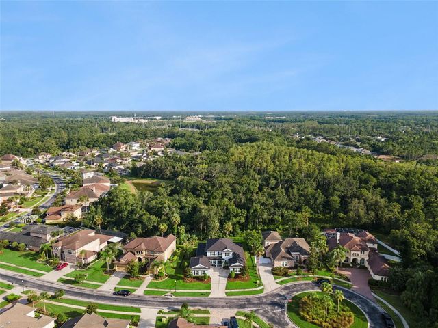 27722 INDIGO POND COURT, Wesley Chapel, FL 33544