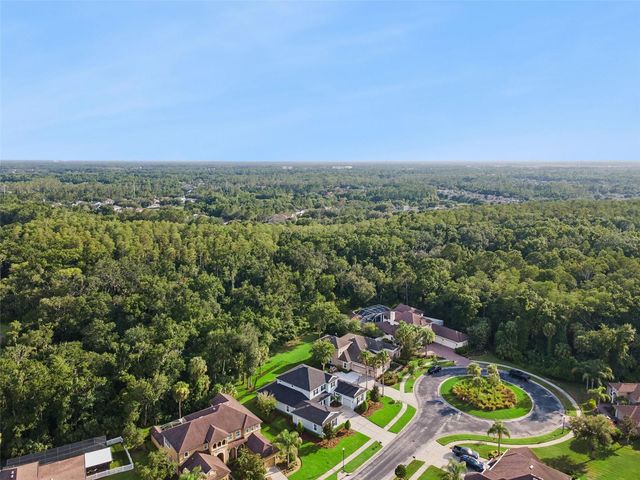 27722 INDIGO POND COURT, Wesley Chapel, FL 33544