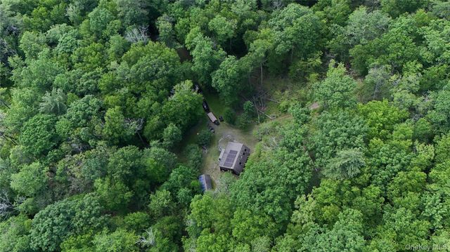 225 Hatchery Road, Forestburgh, NY 12777