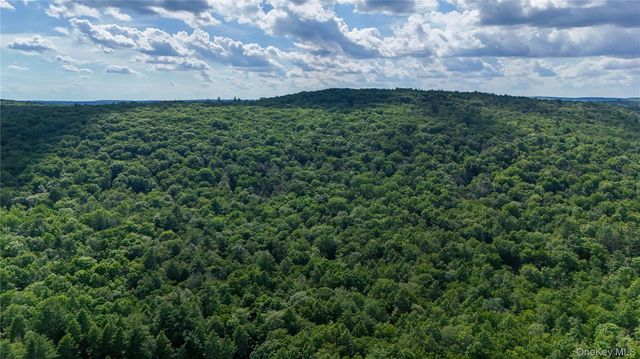 225 Hatchery Road, Forestburgh, NY 12777
