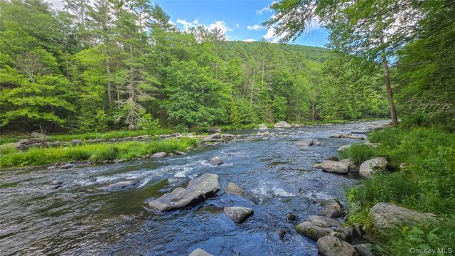 225 Hatchery Road, Forestburgh, NY 12777