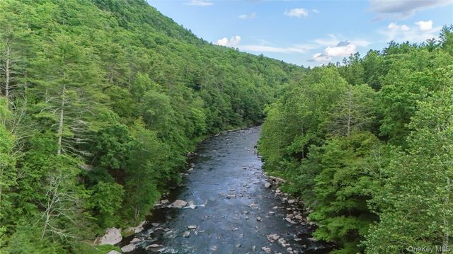 225 Hatchery Road, Forestburgh, NY 12777