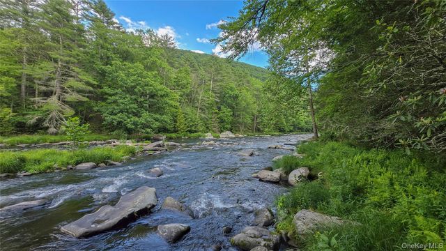 225 Hatchery Road, Forestburgh, NY 12777