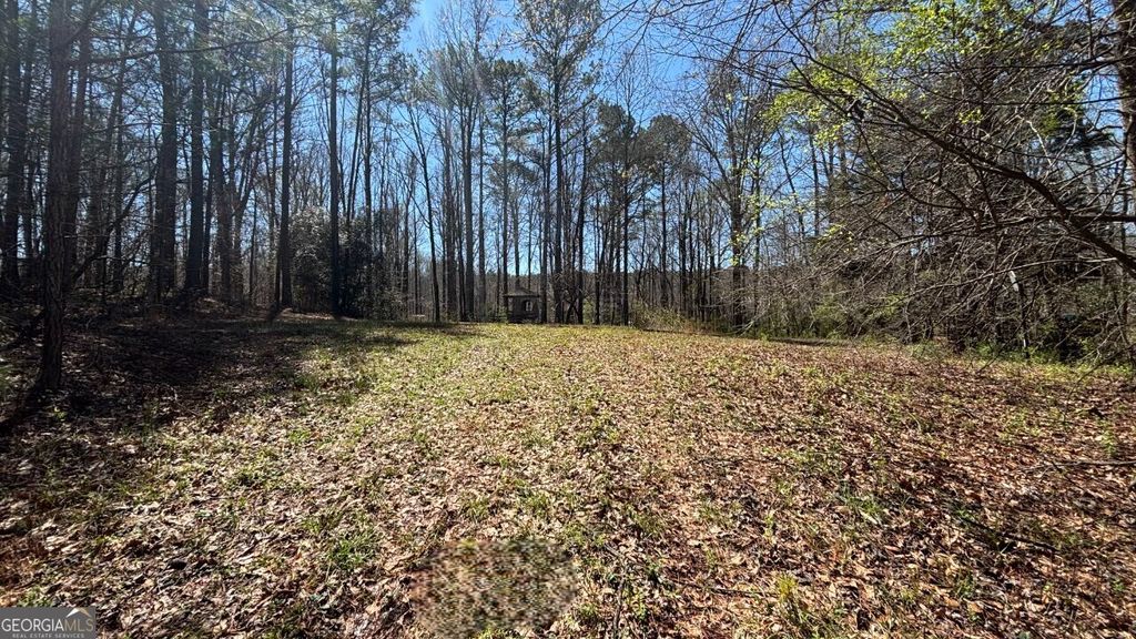 197 Cowan Road SE, Conyers, GA 30094