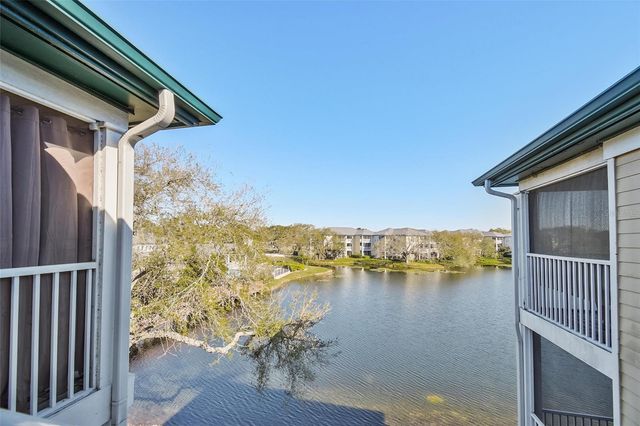 4115 CHATHAM OAK COURT 220, Tampa, FL 33624