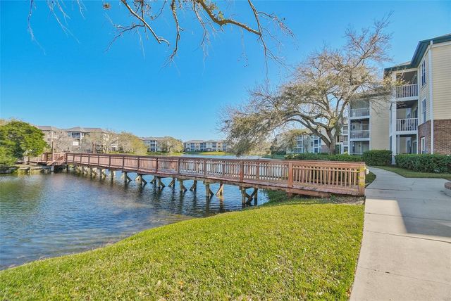 4115 CHATHAM OAK COURT 220, Tampa, FL 33624