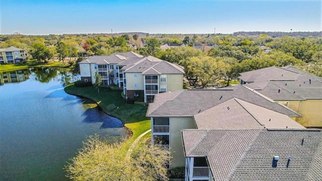 4115 CHATHAM OAK COURT 220, Tampa, FL 33624