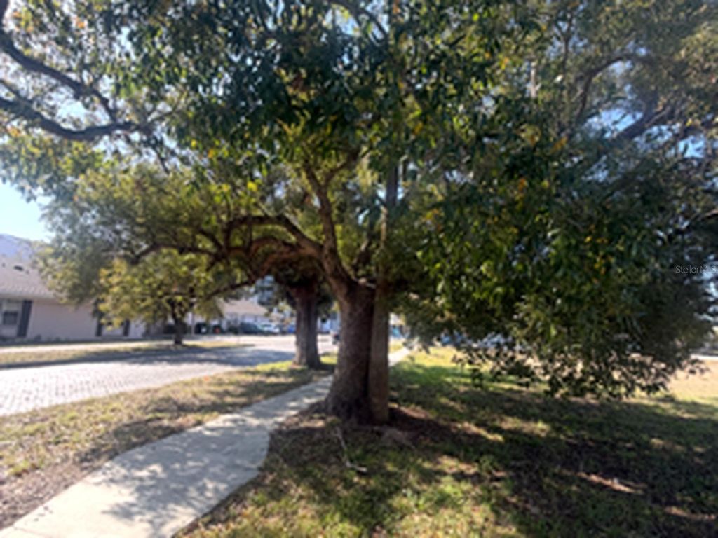 Image 4 of property listing at 1802 N MITCHELL AVENUE, Tampa, FL 33602