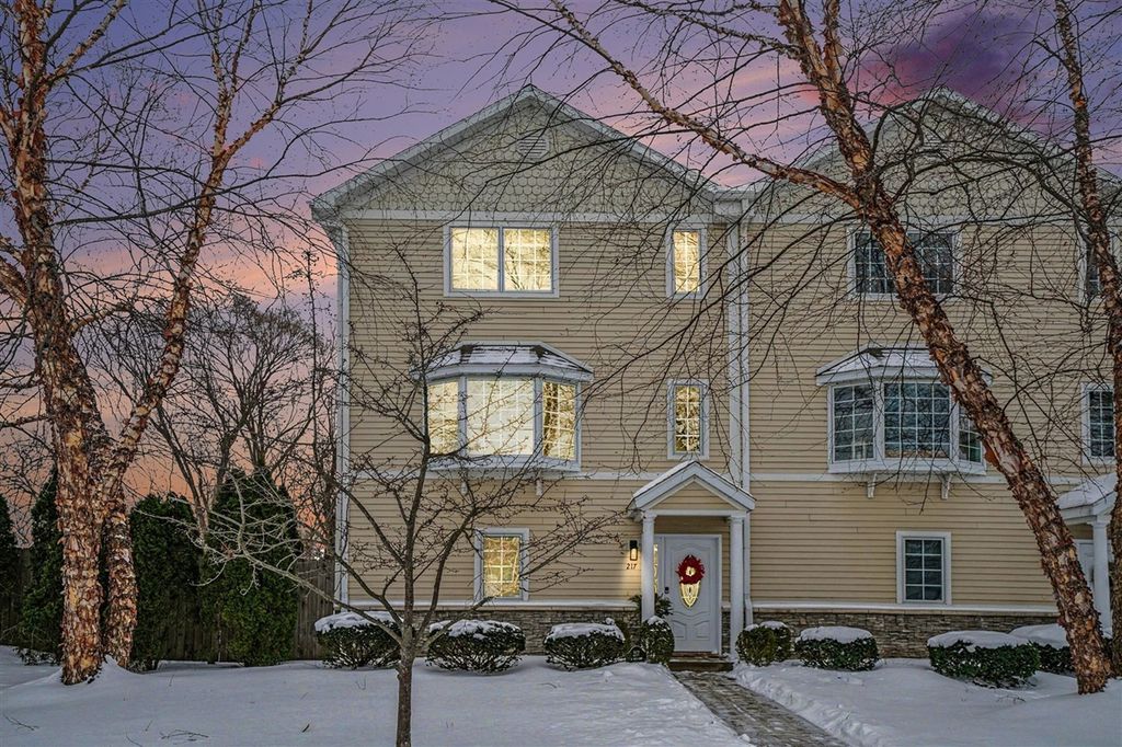 217 W Merchant Street, New Buffalo, MI 49117