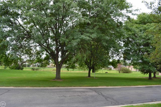 40780 Magnolia East Drive, Clinton Twp, MI 48038