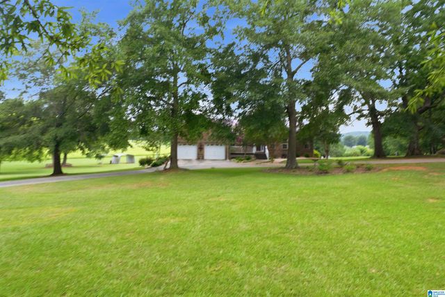 4495 ODENA ROAD NORTH, Alpine, AL 35014