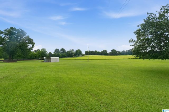 4495 ODENA ROAD NORTH, Alpine, AL 35014