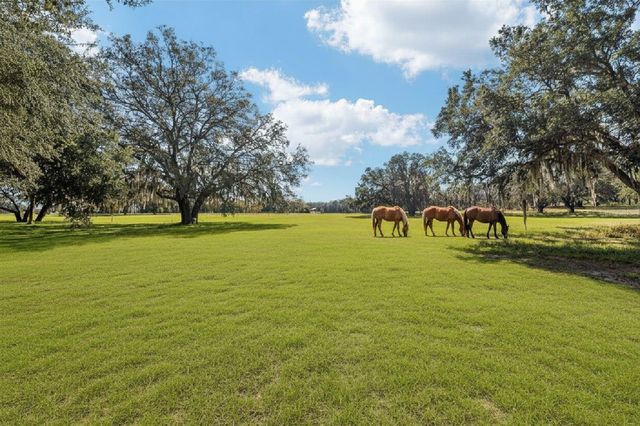36203 MICRO RACETRACK ROAD, Fruitland Park, FL 34731