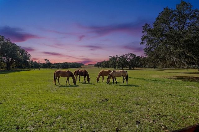 36203 MICRO RACETRACK ROAD, Fruitland Park, FL 34731