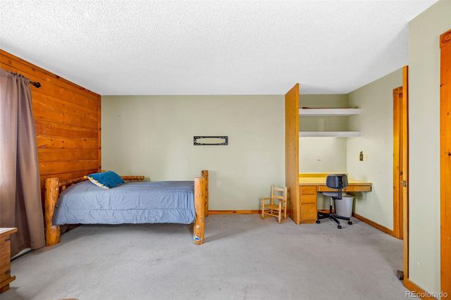 597 Sheep Ridge Road, Fairplay, CO 80440