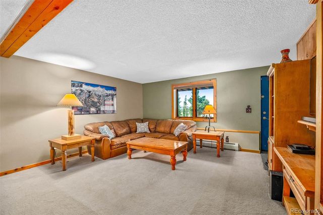 597 Sheep Ridge Road, Fairplay, CO 80440