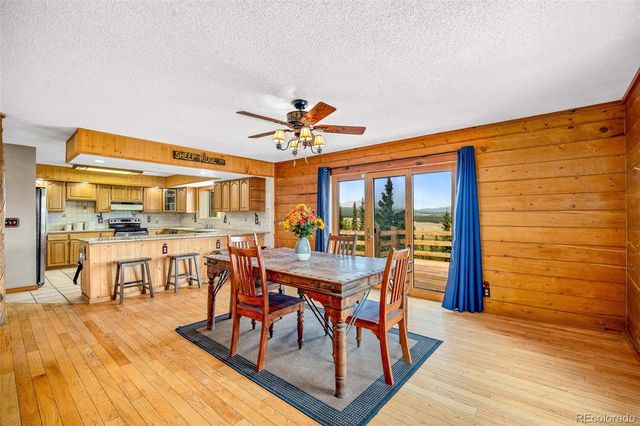 597 Sheep Ridge Road, Fairplay, CO 80440