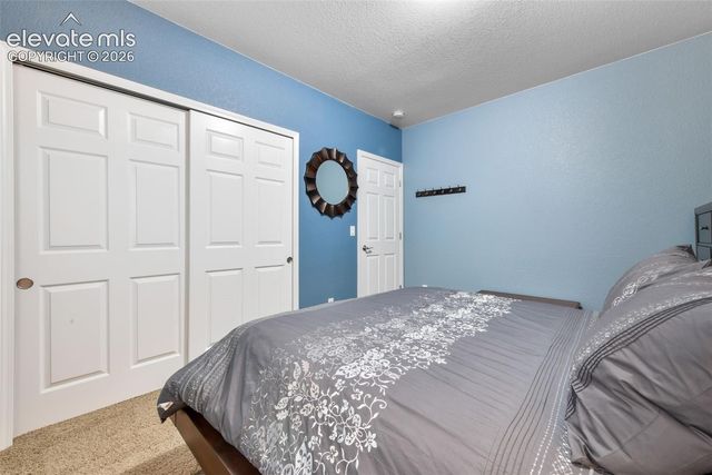 7867 Silver Birch Drive, Colorado Springs, CO 80927