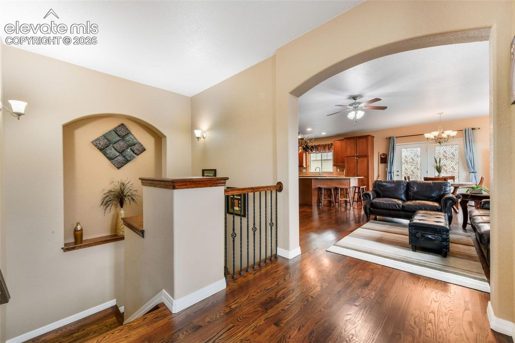7867 Silver Birch Drive, Colorado Springs, CO 80927 — photo 3