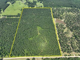 3 Fodice-2 Road, Pennington, TX 75845
