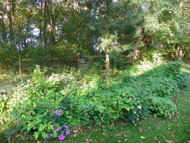 21553 County Road 34, Eden Valley, MN 55329