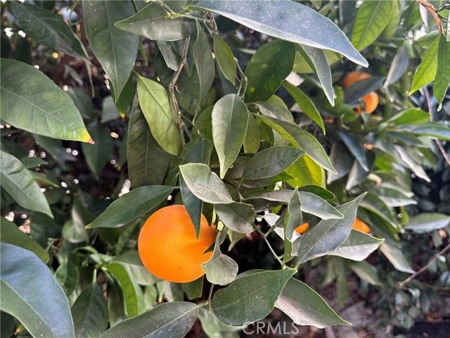 22700 Cascade Drive, Canyon Lake, CA 92587