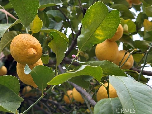 22700 Cascade Drive, Canyon Lake, CA 92587