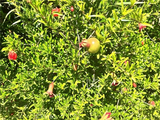 22700 Cascade Drive, Canyon Lake, CA 92587