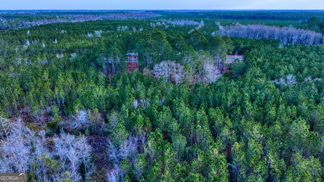 4421 Albert Rahn Road, Glennville, GA 30427