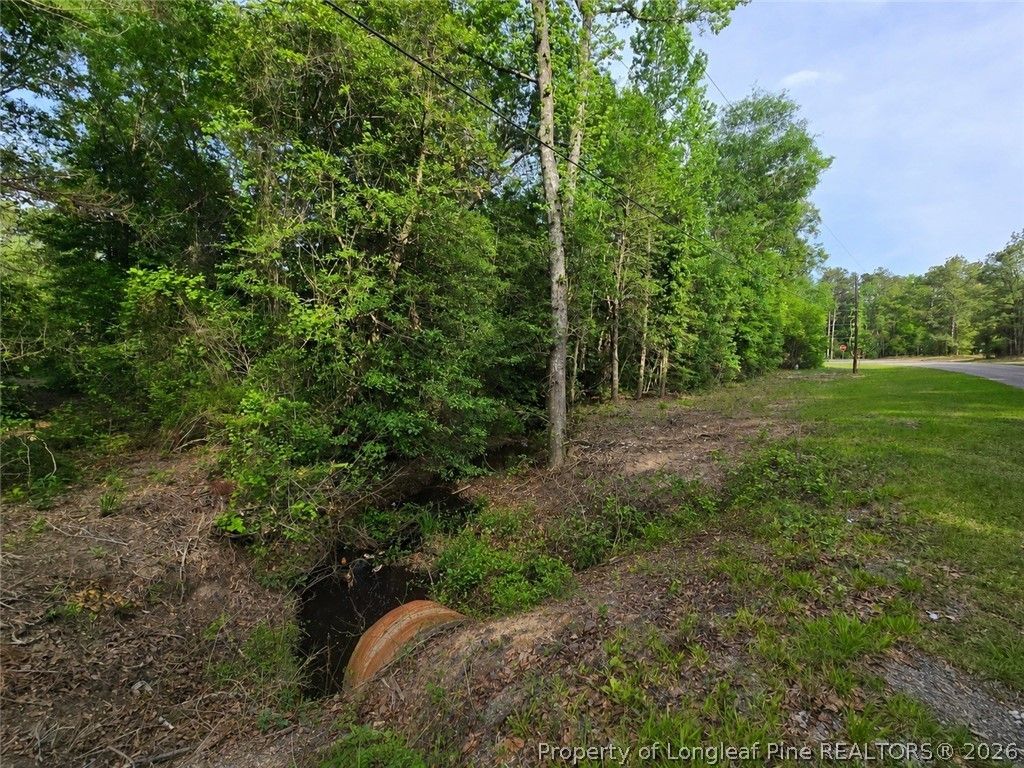 Lot 45-47 Cabins Creek Road, Vass, NC 28394 — exterior