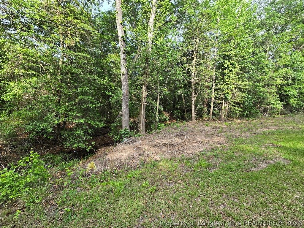 Lot 45-47 Cabins Creek Road, Vass, NC 28394 — photo 2