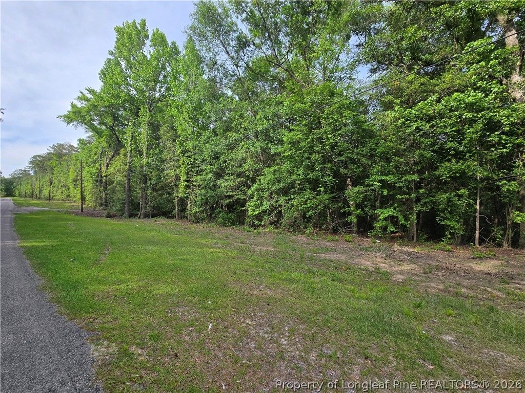 Lot 45-47 Cabins Creek Road, Vass, NC 28394 — photo 3