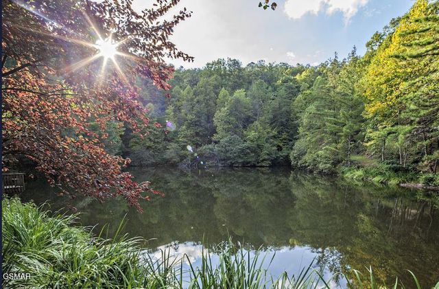 3163 Sourwood Way, Sevierville, TN 37862