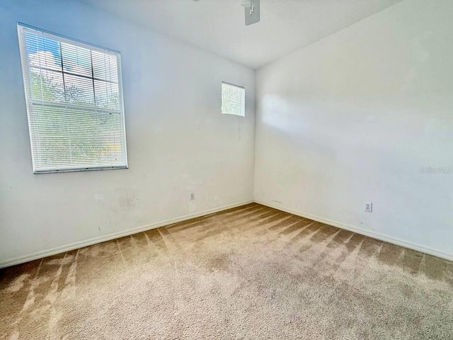 8173 STONE VIEW DRIVE, Tampa, FL 33647