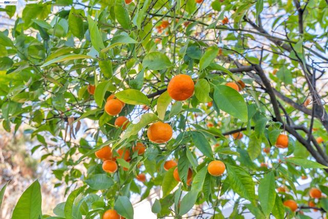 282 Del Valle Ct, Pleasanton, CA 94566