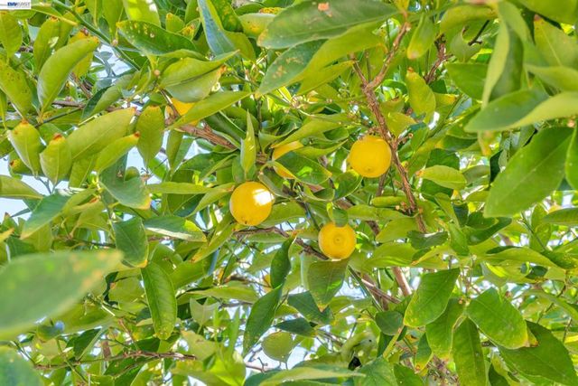 282 Del Valle Ct, Pleasanton, CA 94566